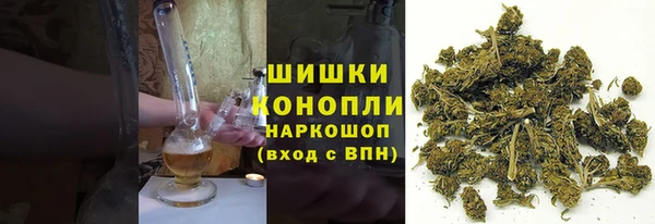 Альфа ПВП Осинники