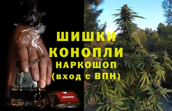 Альфа ПВП Осинники
