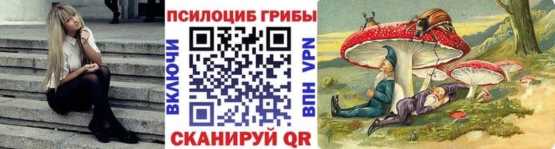 blacksprut ссылка  Электроугли  Галлюциногенные грибы мицелий  где можно купить наркотик 